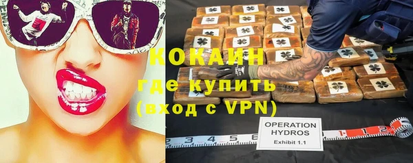 дживик Алексеевка
