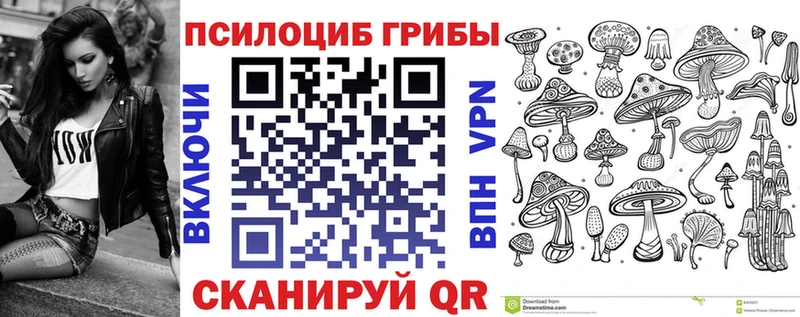 Галлюциногенные грибы Psilocybe Кола